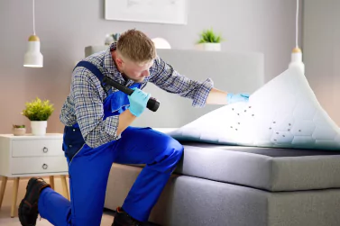 Bedbug Control Glen Iris