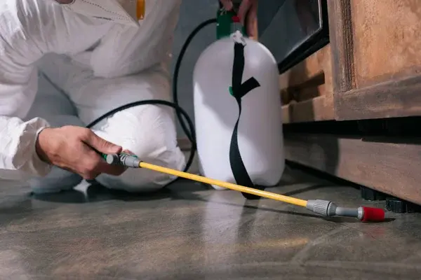 Pest Control Glen Iris