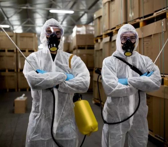 Pest Control Glen Iris